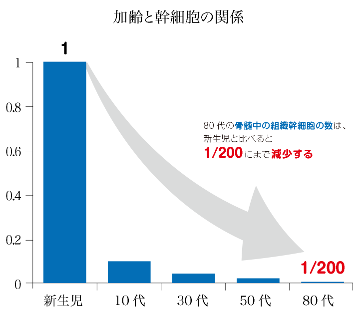 加齢と幹細胞の関係図