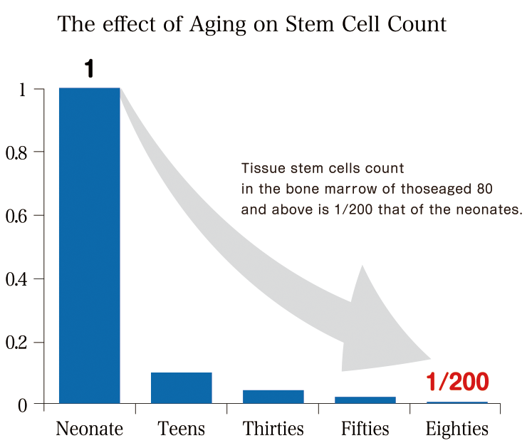 stem cells